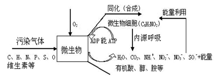 汙水池廢氣處理工藝圖